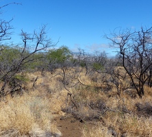 Malama trail